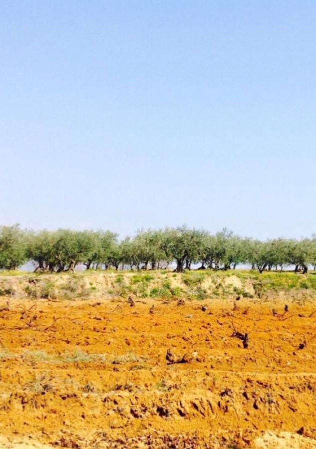 فندق Courthézonفي  Le 17 المظهر الخارجي الصورة