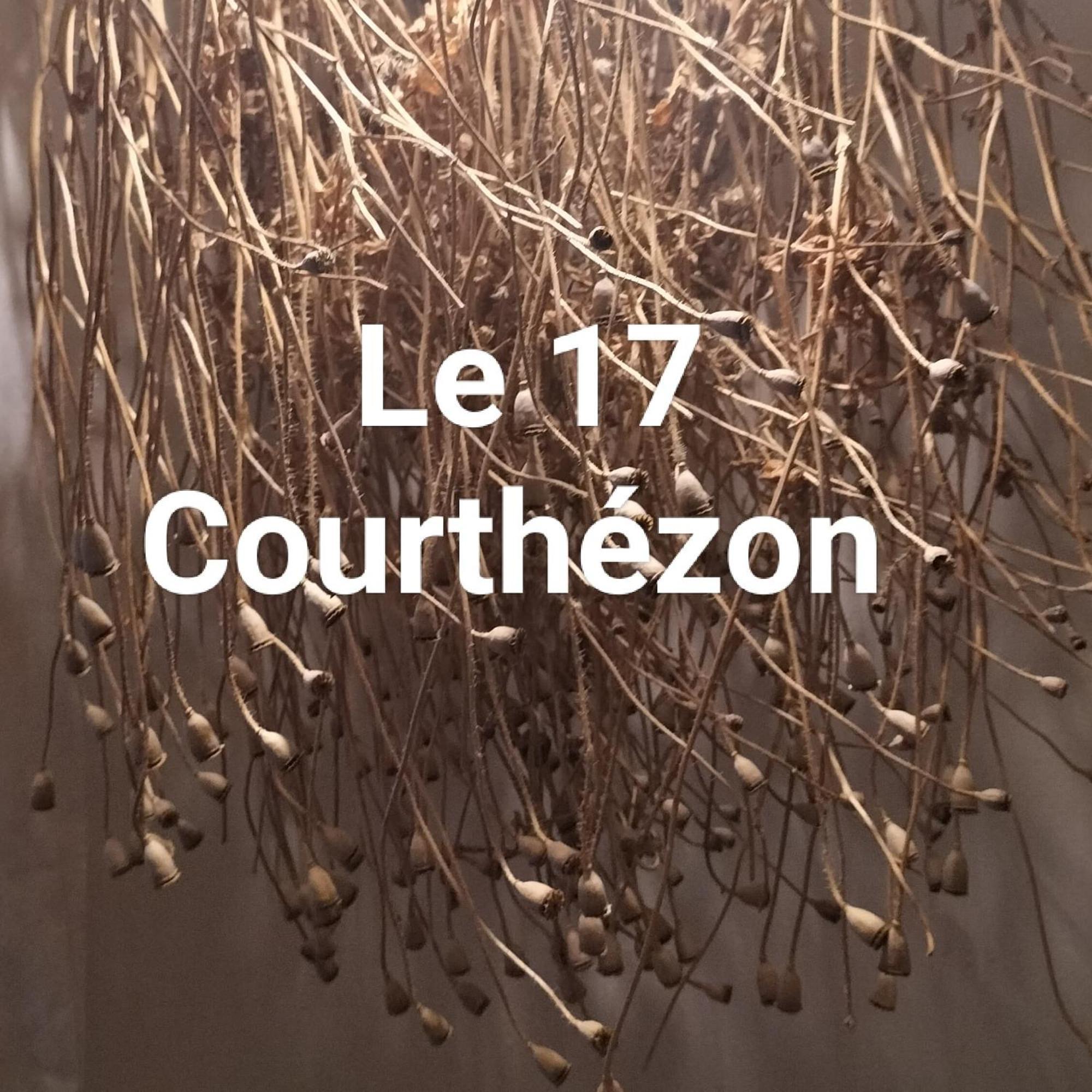 فندق Courthézonفي  Le 17 المظهر الخارجي الصورة